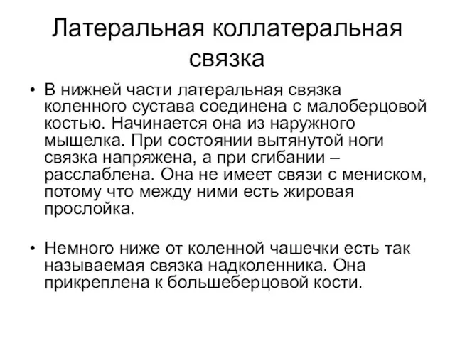 Латеральная коллатеральная связка В нижней части латеральная связка коленного сустава соединена