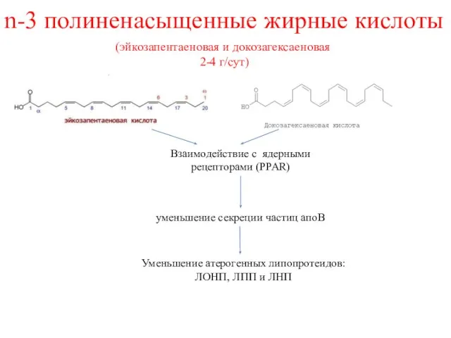 n-3 полиненасыщенные жирные кислоты (эйкозапентаеновая и докозагексаеновая 2-4 г/сут) Взаимодействие с