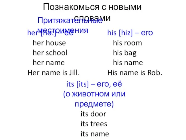 Познакомься с новыми словами Притяжательные местоимения her [hǝ:] – её her