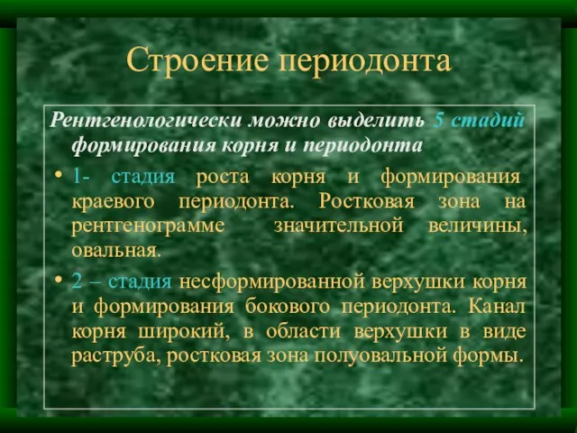 Строение периодонта Рентгенологически можно выделить 5 стадий формирования корня и периодонта