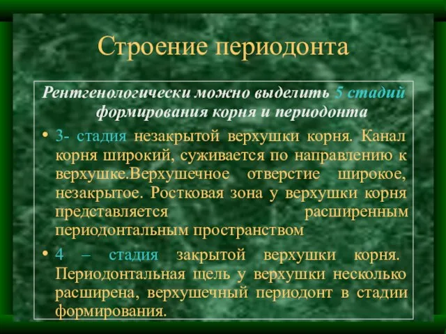 Строение периодонта Рентгенологически можно выделить 5 стадий формирования корня и периодонта