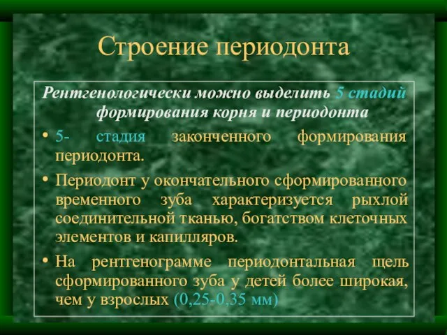 Строение периодонта Рентгенологически можно выделить 5 стадий формирования корня и периодонта