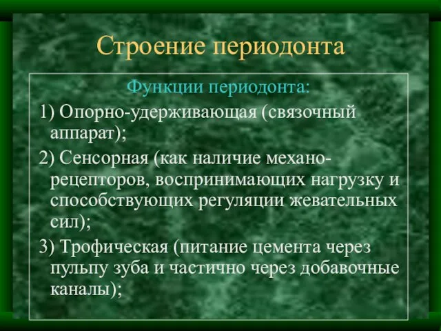 Строение периодонта Функции периодонта: 1) Опорно-удерживающая (связочный аппарат); 2) Сенсорная (как