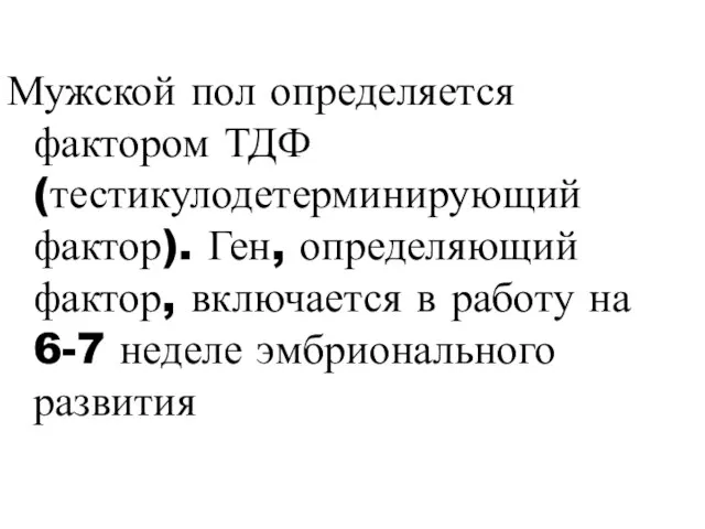 Мужской пол определяется фактором ТДФ (тестикулодетерминирующий фактор). Ген, определяющий фактор, включается