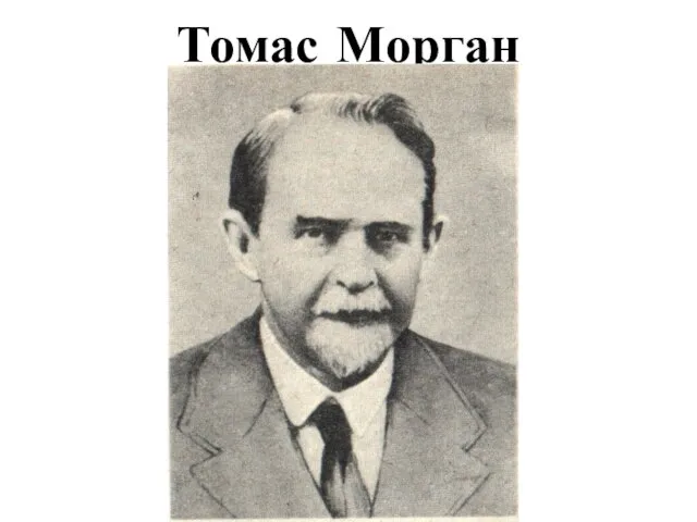 Томас Морган