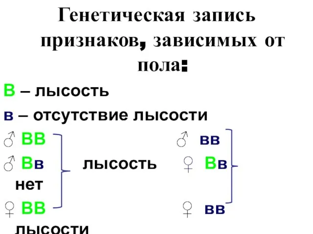 Генетическая запись признаков, зависимых от пола: В – лысость в –