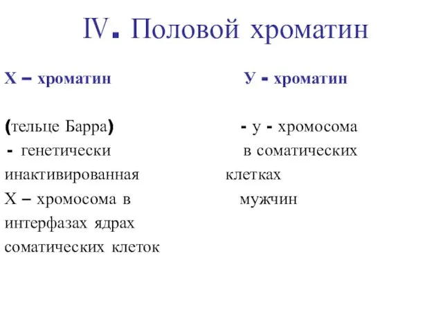 Ⅳ. Половой хроматин Х – хроматин У - хроматин (тельце Барра)