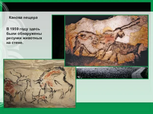 Капова пещера В 1959 году здесь были обнаружены рисунки животных на стене.