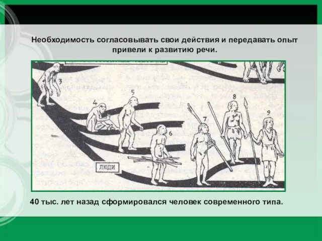 Необходимость согласовывать свои действия и передавать опыт привели к развитию речи.