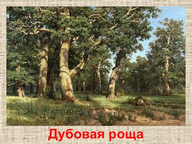 Дубовая роща