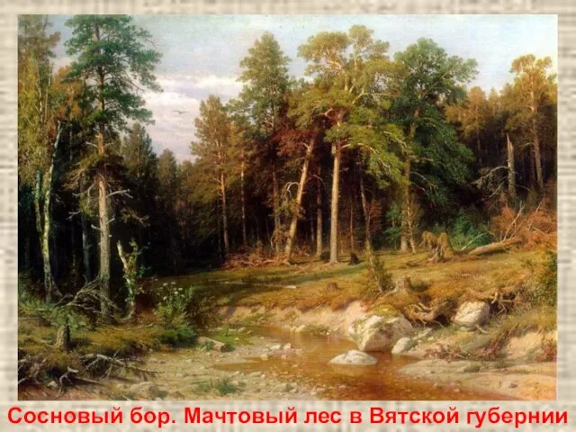 Сосновый бор. Мачтовый лес в Вятской губернии