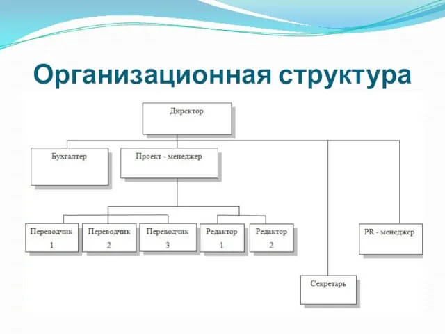 Организационная структура