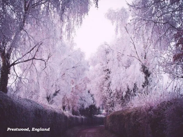 Prestwood, England