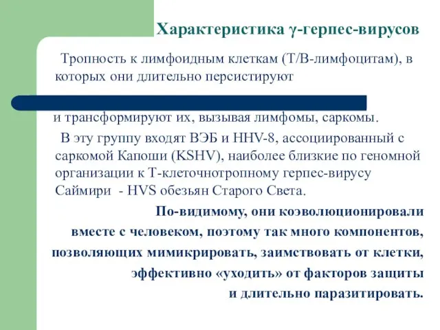 Характеристика γ-герпес-вирусов Тропность к лимфоидным клеткам (Т/В-лимфоцитам), в которых они длительно