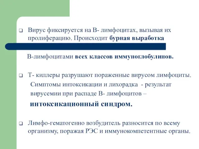 Вирус фиксируется на В- лимфоцитах, вызывая их пролиферацию. Происходит бурная выработка