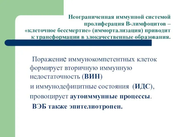 Неограниченная иммунной системой пролиферация В-лимфоцитов – «клеточное бессмертие» (иммортализация) приводит к