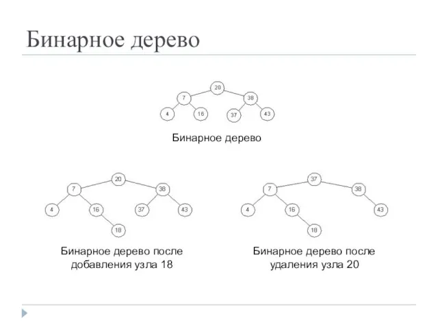 Бинарное дерево