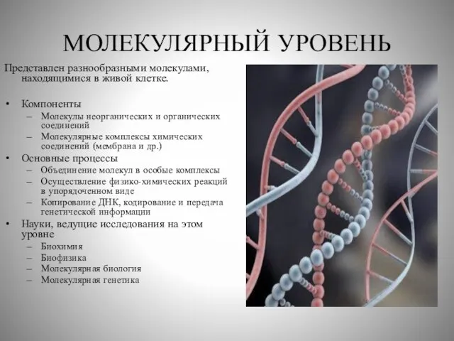 МОЛЕКУЛЯРНЫЙ УРОВЕНЬ Представлен разнообразными молекулами, находящимися в живой клетке. Компоненты Молекулы