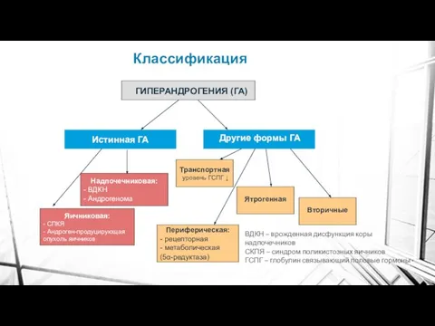 Классификация ГИПЕРАНДРОГЕНИЯ (ГА) Истинная ГА Другие формы ГА Надпочечниковая: - ВДКН