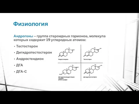 Физиология Андрогены – группа стероидных гормонов, молекула которых содержит 19 углеродных