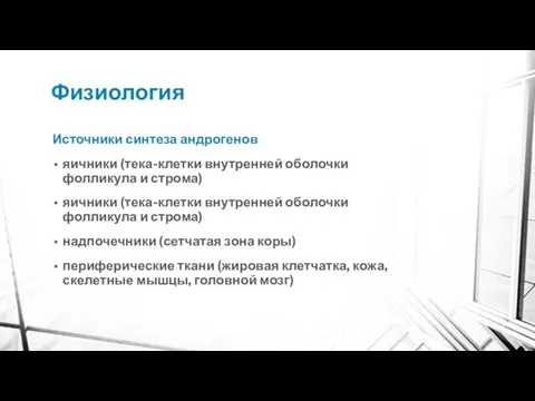 Физиология Источники синтеза андрогенов яичники (тека-клетки внутренней оболочки фолликула и строма)