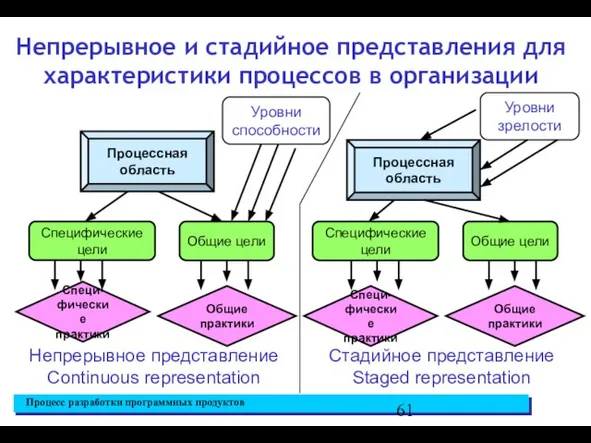 Непрерывное и стадийное представления для характеристики процессов в организации Процессная область