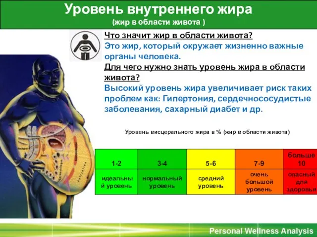 Уровень внутреннего жира (жир в области живота ) Что значит жир