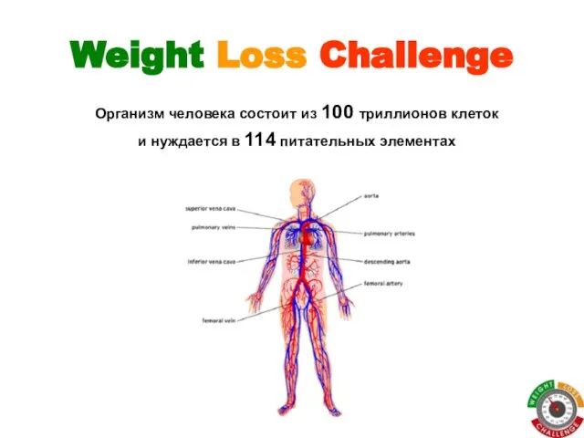 Weight Loss Challenge Организм человека состоит из 100 триллионов клеток и нуждается в 114 питательных элементах