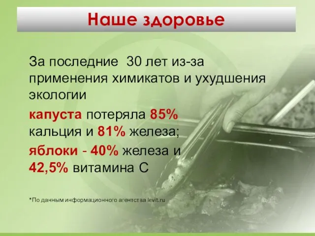 За последние 30 лет из-за применения химикатов и ухудшения экологии капуста