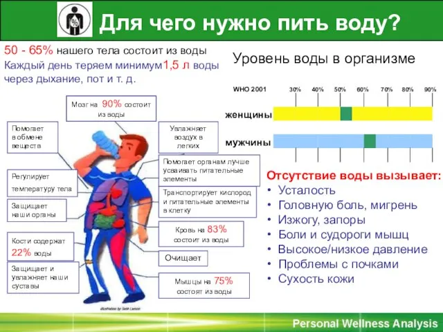 Мозг на 90% состоит из воды Транспортирует кислород и питательные элементы