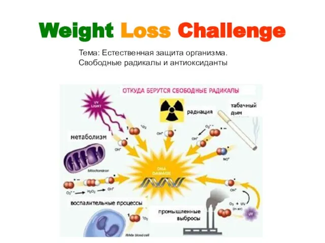 Weight Loss Challenge Тема: Естественная защита организма. Свободные радикалы и антиоксиданты