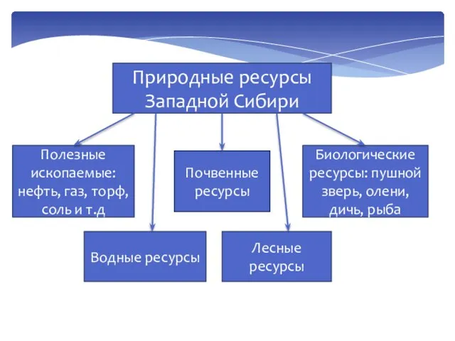 Природные ресурсы Западной Сибири Полезные ископаемые: нефть, газ, торф, соль и