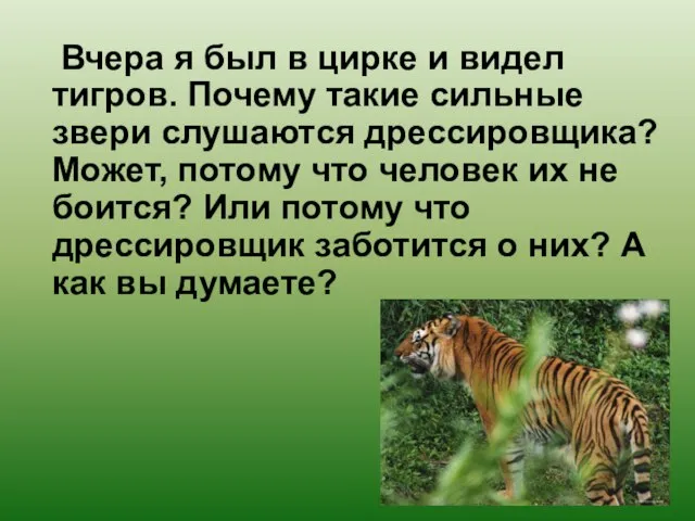 Вчера я был в цирке и видел тигров. Почему такие сильные