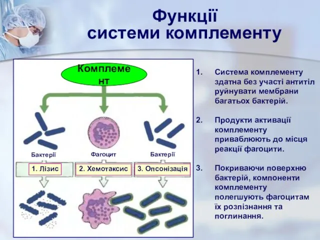 Функції системи комплементу 1. Лізис 2. Хемотаксис 3. Опсонізація Бактерії Фагоцит