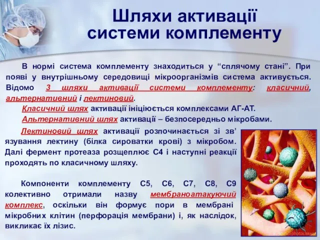 В нормі система комплементу знаходиться у “сплячому стані”. При появі у