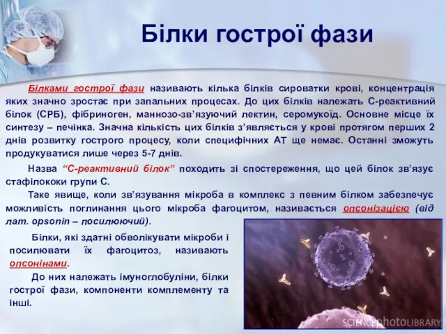 Білки гострої фази Білками гострої фази називають кілька білків сироватки крові,