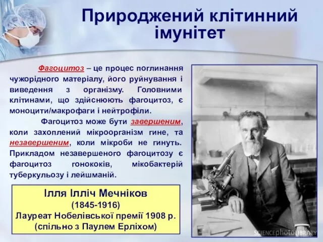 Фагоцитоз – це процес поглинання чужорідного матеріалу, його руйнування і виведення