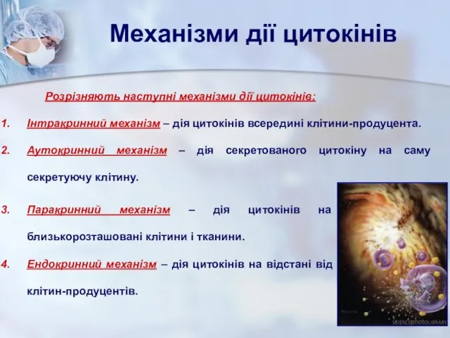 Механізми дії цитокінів Розрізняють наступні механізми дії цитокінів: Інтракринний механізм –