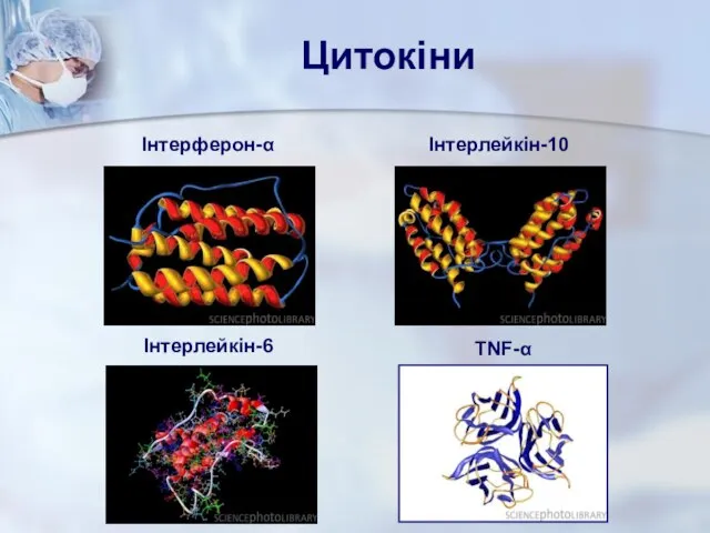 Інтерферон-α Інтерлейкін-10 Інтерлейкін-6 TNF-α Цитокіни