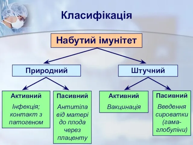 Набутий імунітет Природний Штучний Активний Інфекція; контакт з патогеном Пасивний Антитіла