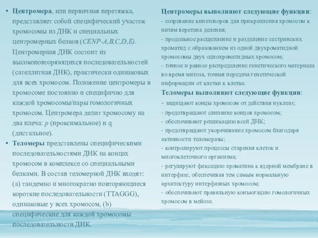 Центромеры выполняют следующие функции: - созревание кинетохоров для прикрепления хромосом к