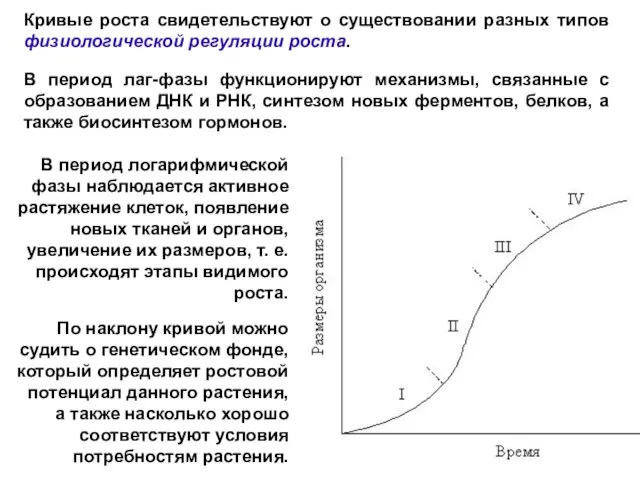 Кривые роста свидетельствуют о существовании разных типов физиологической регуляции роста. В