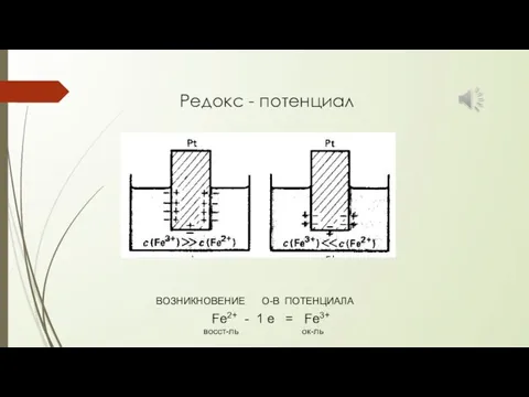 Редокс - потенциал ВОЗНИКНОВЕНИЕ О-В ПОТЕНЦИАЛА Fe2+ - 1 e = Fe3+ восст-ль ок-ль