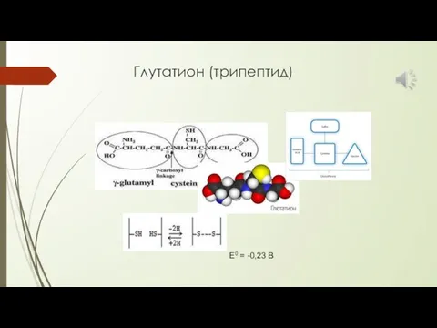 Глутатион (трипептид) Е0 = -0,23 В