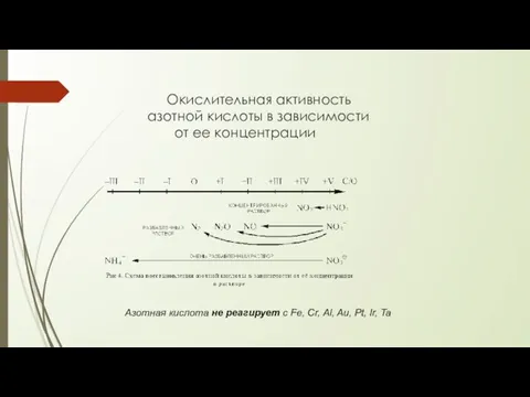 Окислительная активность азотной кислоты в зависимости от ее концентрации Азотная кислота