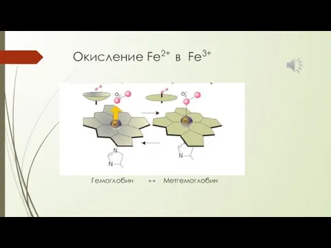 Окисление Fe2+ в Fe3+ Гемоглобин ↔ Метгемоглобин