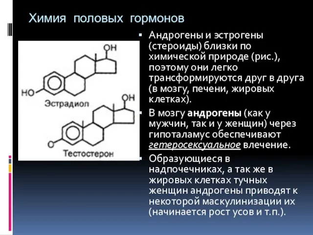 Химия половых гормонов Андрогены и эстрогены (стероиды) близки по химической природе