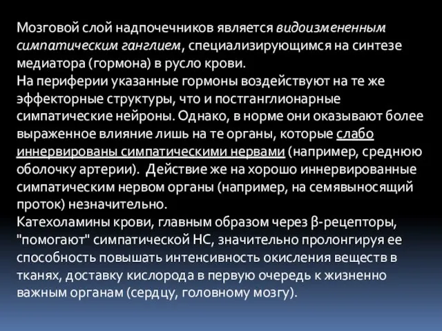 Мозговой слой надпочечников является видоизмененным симпатическим ганглием, специализирующимся на синтезе медиатора