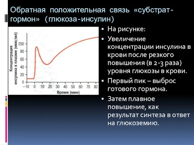 Обратная положительная связь «субстрат-гормон» (глюкоза-инсулин) На рисунке: Увеличение концентрации инсулина в