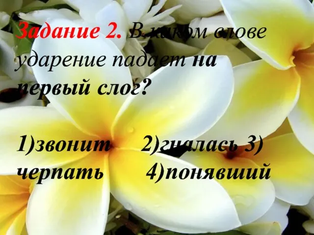 Задание 2. В каком слове ударение падает на первый слог? 1)звонит 2)гналась 3)черпать 4)понявший